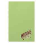Napping Donkey Stationery