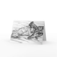 Napping Greyhounds Drawing by Kelli Swan card