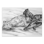 Napping Greyhounds Drawing by Kelli Swan cards