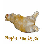 Napping is my day job T-Shirt