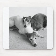Napping Italian Greyhounds Mousepads