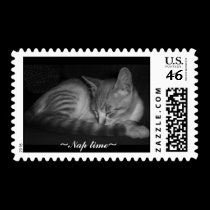 Napping kitten , ~Nap time~ postage