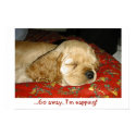 Napping posters