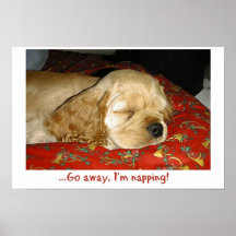 Napping Posters