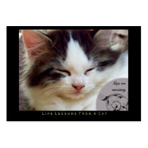 Naps Life Lessons From a Cat ACEO Art Trading Card business cards