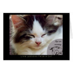 Naps Life Lessons From a Cat Card
