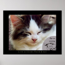 Naps Life Lessons From a Cat Fine Art Print