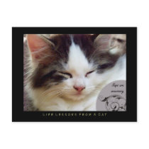 Naps Life Lessons From a Cat Postcard