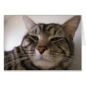 Napster cards by okcshelter Napster cards