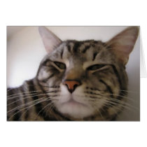 Napster cards