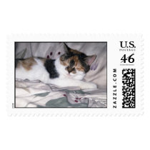 naptime.jpg postage