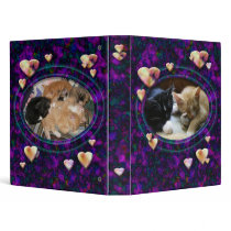 "Naptime" Kittens Vinyl Binders