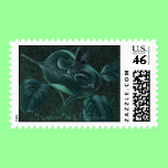 "Naptime" Postage Stamp stamps