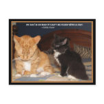 Naptime! Postcard