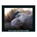 Naptime posters