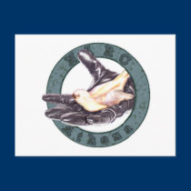 NARC-Athena unit badge postcard