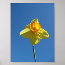 Narciso Impresiones