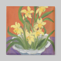 NARCISOS imanes