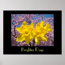 Narcisos más brillantes de los días del tacto de l posters