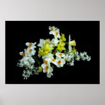 Narcisos y lilas posters
