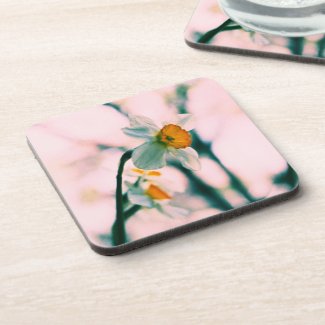 Narcissus 1 beverage coasters