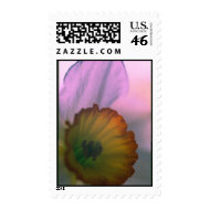 Narcissus 2 stamp