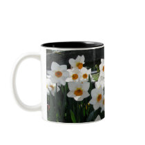 Narcissus and Wooden Fence Coffee Mugs
