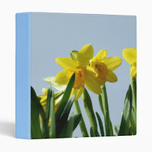 Narcissus   Binder