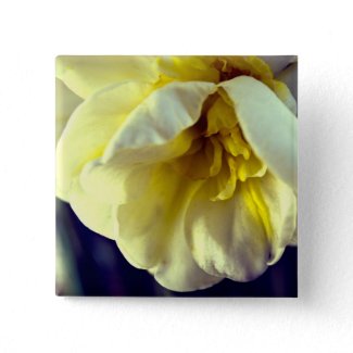 Narcissus Daffodil zazzle_button