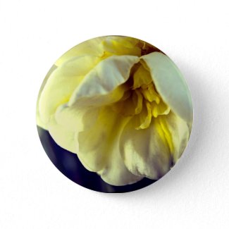 Narcissus Daffodil zazzle_button
