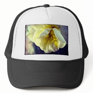Narcissus Daffodil zazzle_hat