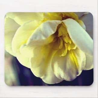 Narcissus Daffodil zazzle_mousepad