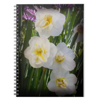 Narcissus Daffodil fuji_notebook