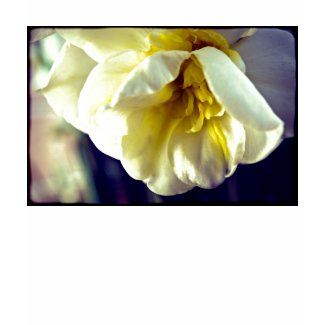 Narcissus Daffodil zazzle_shirt