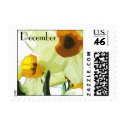 Narcissus is the birthday flower for December postage by ArtByLindaLou Narcissus is the birthday flower for December postage
