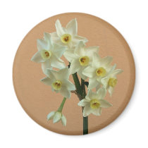Narcissus Magnet magnets