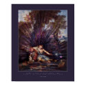 NARCISSUS posters by Malanda NARCISSUS posters