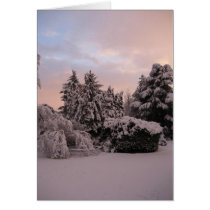 Narnia? cards by jschnepp84 Narnia? cards