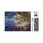 Narraguagus River Habitat for Atlantic Salmon Stamp