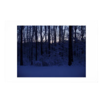 Narraticon Snowscape posters