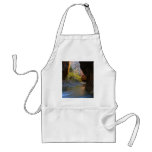 Narrows In Zion National Park Apron