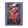 Narsissus Picking Flowers Post Card