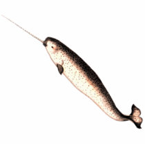 Narwhal Cutout Magnet/Sculpture Cut Outs