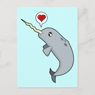 narwhal love