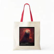 NASA - Cone Nebula bags