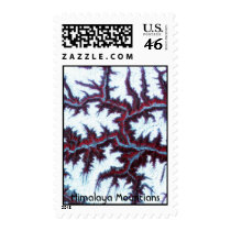 NASA Earth Terra satellite Himalaya Mountians postage