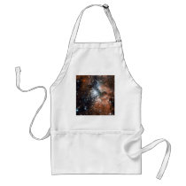 NASA - Full Hubble ACS Image of NGC3603 aprons
