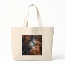 NASA - Full Hubble ACS Image of NGC3603 bags