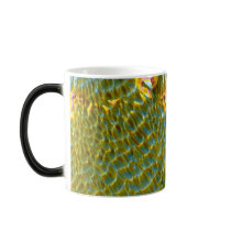 NASA Mars  mugs