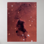 NASA - Nearby Dust Clouds in the Milky Way posters